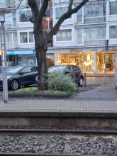 Bild zu gemeldetem Anliegen vom *2026-01-09 08:46:38