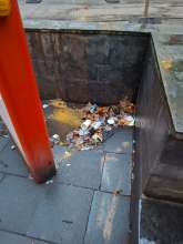 Bild zu gemeldetem Anliegen vom *2026-01-12 06:33:11