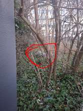 Bild zu gemeldetem Anliegen vom *2026-01-19 15:28:47