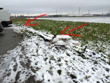 Bild zu gemeldetem Anliegen vom *2026-01-12 14:20:56