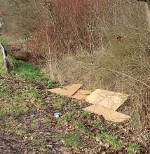 Bild zu gemeldetem Anliegen vom *2026-01-19 21:59:49