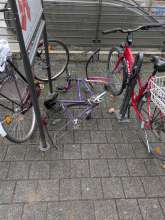 Bild zu gemeldetem Anliegen vom *2026-01-15 21:28:09