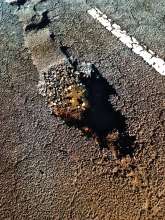 Bild zu gemeldetem Anliegen vom *2026-01-15 18:38:37