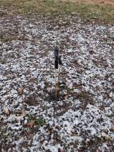 Bild zu gemeldetem Anliegen vom *2026-01-03 09:28:16