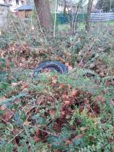 Bild zu gemeldetem Anliegen vom *2026-01-02 13:22:33