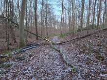 Bild zu gemeldetem Anliegen vom *2026-01-03 11:17:20