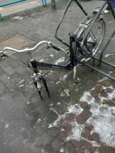 Bild zu gemeldetem Anliegen vom *2026-01-09 06:40:45