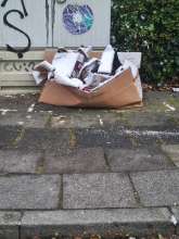 Bild zu gemeldetem Anliegen vom *2026-01-11 15:47:54