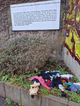 Bild zu gemeldetem Anliegen vom *2026-01-14 12:27:43