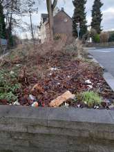 Bild zu gemeldetem Anliegen vom *2026-01-16 19:59:46