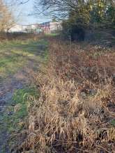 Bild zu gemeldetem Anliegen vom *2026-01-17 15:34:23