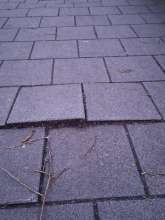 Bild zu gemeldetem Anliegen vom *2026-01-18 09:29:31