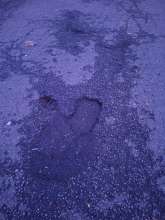 Bild zu gemeldetem Anliegen vom *2026-01-18 10:12:59