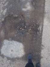 Bild zu gemeldetem Anliegen vom *2026-01-20 09:29:17