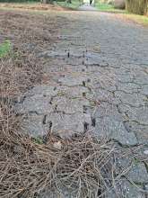 Bild zu gemeldetem Anliegen vom *2026-01-17 16:56:43