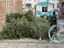 Bild zu gemeldetem Anliegen vom *2026-01-07 09:27:22