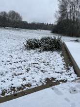 Bild zu gemeldetem Anliegen vom *2026-01-10 12:36:14