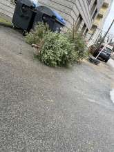 Bild zu gemeldetem Anliegen vom *2026-01-13 14:16:32