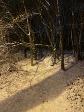 Bild zu gemeldetem Anliegen vom *2026-01-05 09:33:27