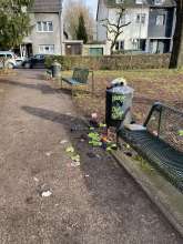 Bild zu gemeldetem Anliegen vom *2026-01-13 12:27:18