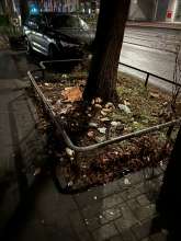 Bild zu gemeldetem Anliegen vom *2026-01-14 21:30:11