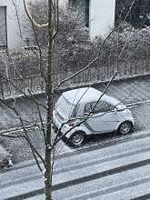 Bild zu gemeldetem Anliegen vom *2026-01-03 15:41:40