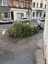 Bild zu gemeldetem Anliegen vom *2026-01-09 12:28:58