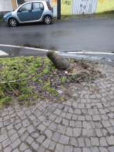 Bild zu gemeldetem Anliegen vom *2026-01-14 18:31:08