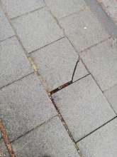 Bild zu gemeldetem Anliegen vom *2026-01-15 15:27:08