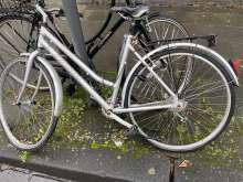 Bild zu gemeldetem Anliegen vom *2026-01-13 22:05:48