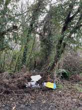 Bild zu gemeldetem Anliegen vom *2026-01-13 15:30:23