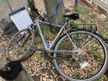 Bild zu gemeldetem Anliegen vom *2026-01-16 11:15:10