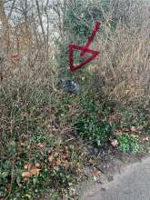 Bild zu gemeldetem Anliegen vom *2026-01-17 09:32:03