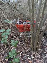 Bild zu gemeldetem Anliegen vom *2026-01-18 15:32:43