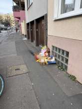 Bild zu gemeldetem Anliegen vom *2026-01-11 12:33:54