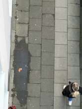 Bild zu gemeldetem Anliegen vom *2026-01-04 15:29:19