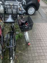 Bild zu gemeldetem Anliegen vom *2026-01-14 15:32:03