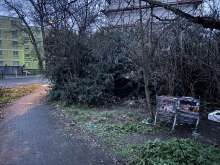 Bild zu gemeldetem Anliegen vom *2026-01-02 15:29:03