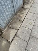 Bild zu gemeldetem Anliegen vom *2026-01-07 16:13:23