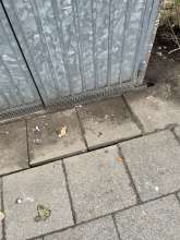 Bild zu gemeldetem Anliegen vom *2026-01-07 18:50:21