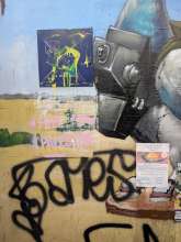 vera.nevet@gmail.com