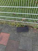 Bild zu gemeldetem Anliegen vom *2026-01-15 06:32:22