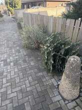 Bild zu gemeldetem Anliegen vom *2026-01-17 12:33:37