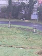 Bild zu gemeldetem Anliegen vom *2026-01-16 15:32:24