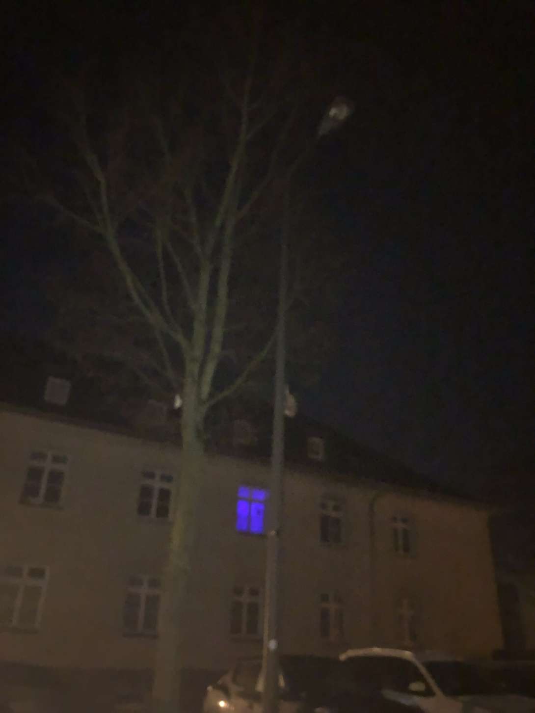 Bild zu gemeldetem Anliegen vom *2023-12-21 01:09:39