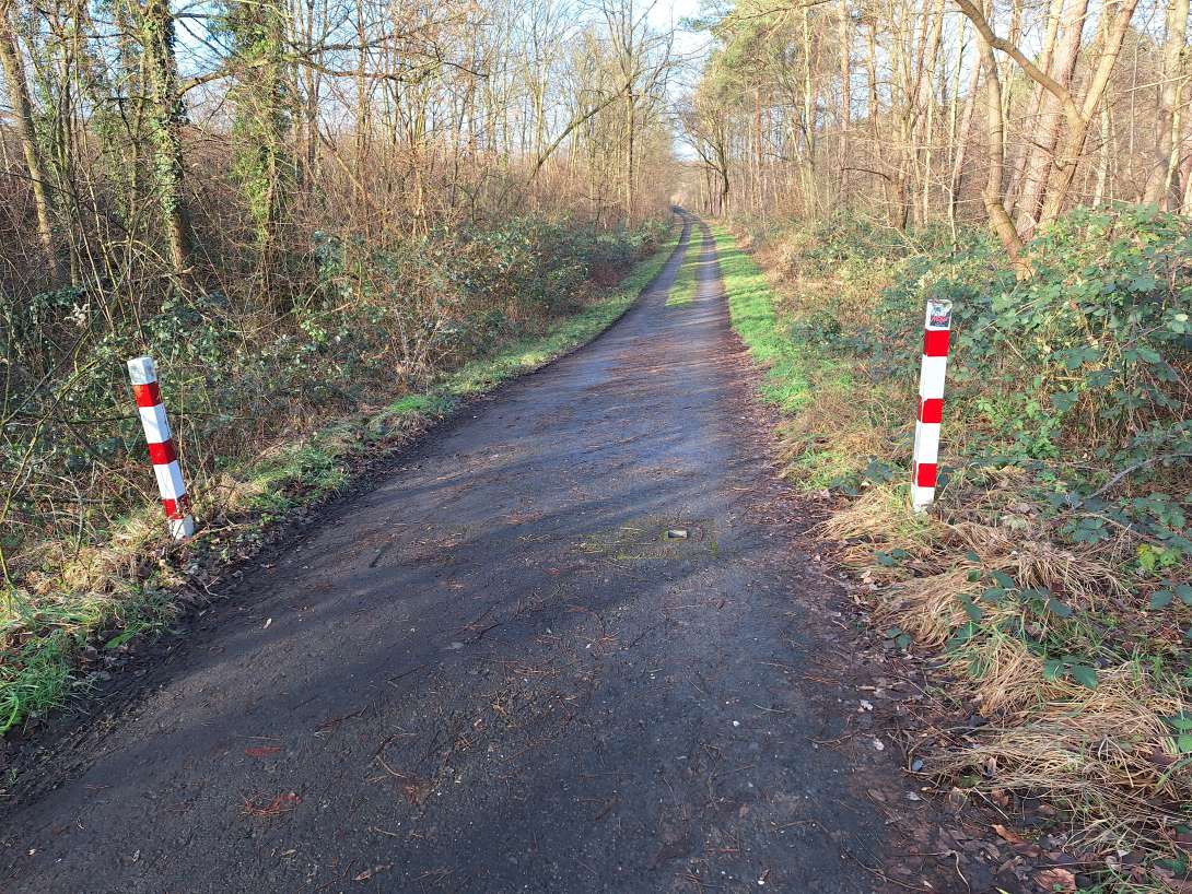Bild zu gemeldetem Anliegen vom *2024-01-23 11:07:41