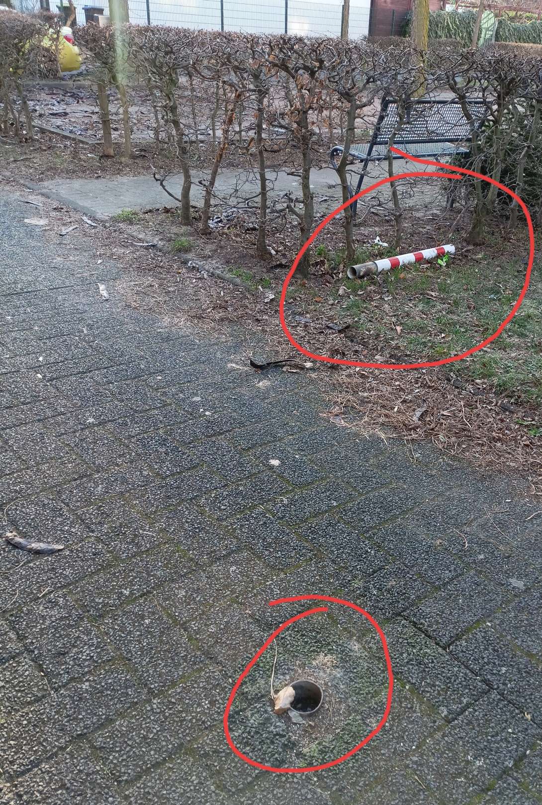 Bild zu gemeldetem Anliegen vom *2024-01-10 12:49:51