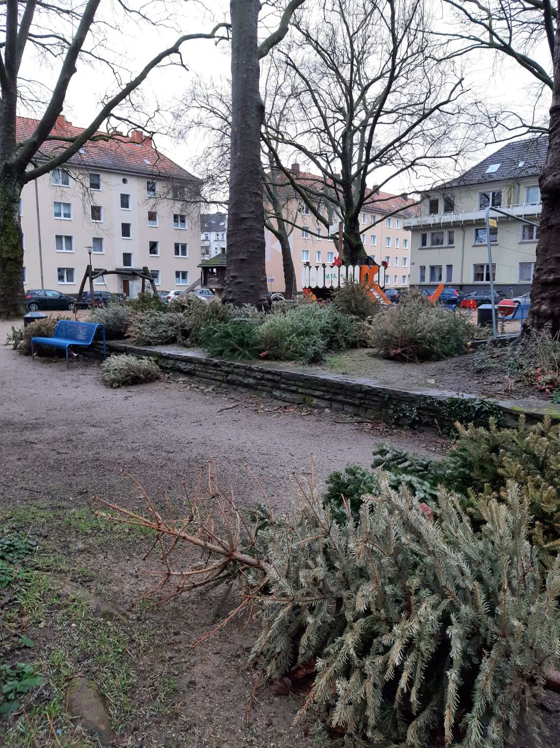 Bild zu gemeldetem Anliegen vom *2024-02-13 11:53:40