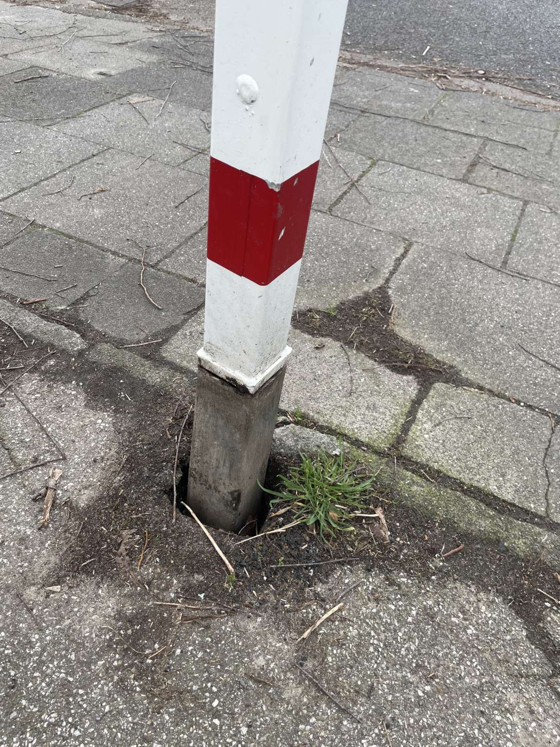 Bild zu gemeldetem Anliegen vom *2024-02-26 19:48:58