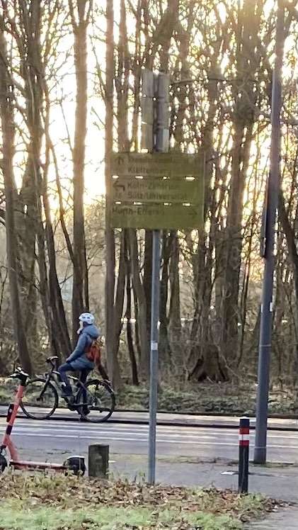 Bild zu gemeldetem Anliegen vom *2024-02-18 20:19:39